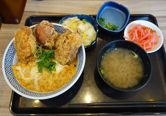 Yoshinoya Niyonhachigosen Okazaki Kitaten photo 3
