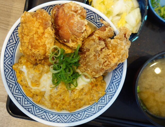 Yoshinoya Niyonhachigosen Okazaki Kitaten