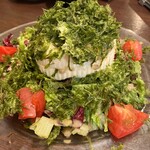 九州 熱中屋 和光 LIVE - 