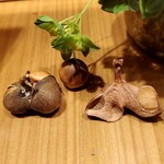 冨士美園 - お茶の実