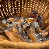 炭Kappo hirac - 