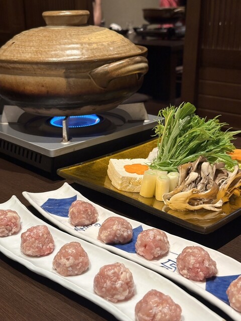 Junkei Nagoya Cochin Yoibito