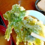 ペンション はなのや - ふきのとう