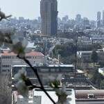 BALCON TOKYO - ペア席からの眺め