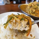 ヒマラヤユキノシタ - 