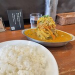 ヒマラヤユキノシタ - 