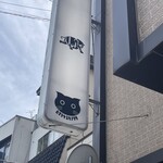 ヒマラヤユキノシタ - 