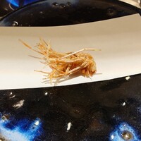 天邑 あつが瀬 - 