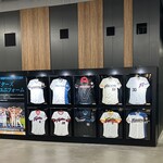 ES CON FIELD HOKKAIDO - ユニホーム一覧　下段右から2番目のが懐かしいです！