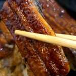 うなぎ四季彩 藤井 - 鰻丼（竹）