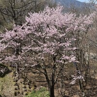 中禅寺金谷ホテル - 