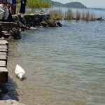 シャーレ水ヶ浜 - 