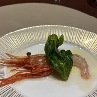 スガラボヴィー - 