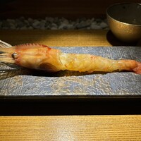 隼 - 