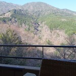 箱根吟遊 武蔵野本館 - 