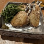 yacipoci - チューリップ