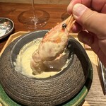 イタリア料理 今井 - 