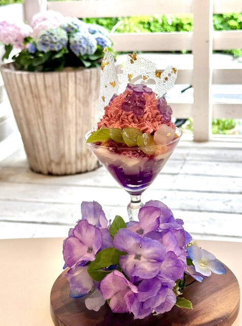 PARADIS Koishikawahonten