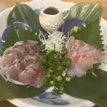 和の居酒屋 月 - アジと真鯛の刺身