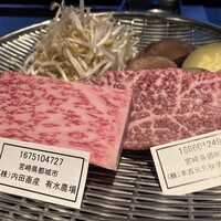 博多みやちく - 