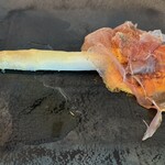 リストランテ･ヒロ チェントロ 丸ビル店 - 