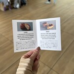 MAISON CLASSIC FACTORY - 