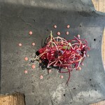 Terroir愛と胃袋 - 