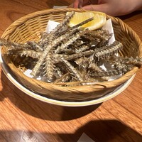 炭焼 うな富士 有楽町店 - 