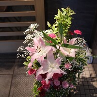 天寿し 京町店 - 