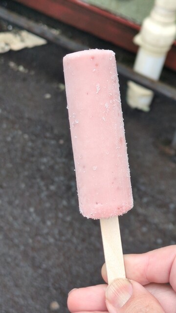 丸麺うんが小樽美どり - 小樽（ラーメン）の写真