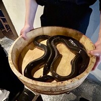 炭焼鰻 寝床 福島店 - 