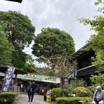 澤乃井園　清流ガーデン - 