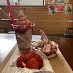 太陽のいちご - 