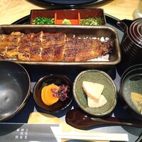 うなぎ四代目菊川 神戸三宮店 - 