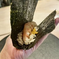 霜止出苗 - 