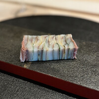 霜止出苗 - 