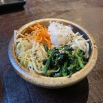 炭焼ホルモン えいた - ナムル盛り合わせ