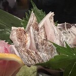 Mie Jin Hon Ten - 立魚