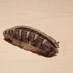 鮨 一幸 - シャコ