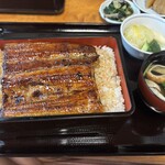 西周 - 菊　お重も松より大きいです