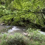 御蕎麦処 鬼笑庵 - 