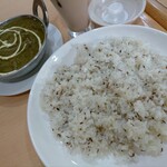 クイーンガーデン - サグブラウン990円(税込)+ジーラライス450円
      これこれ！ジーラライスはそのままでもかなり美味しいけど、これと一緒にサグブラウンを食べると衝撃の旨さ(๑♡⌓♡๑)
      やっぱりここのカレーは美味いね♪