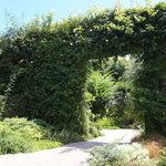 リストランテ　プリマヴェーラ - 