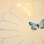 リストランテ　プリマヴェーラ - 