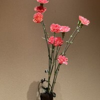 PRIMO PASSO - 