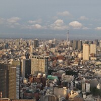 肉割烹 五条 新宿野村ビル49F - 