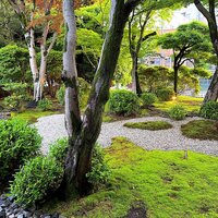 Restaurant Kamikura - 