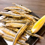 海神の後楽園 - 