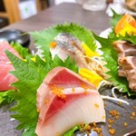 海神の後楽園 - 