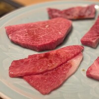 TANAKA YAKINIKU RESTAURANTE - ヒレがランチメニューに入っていました